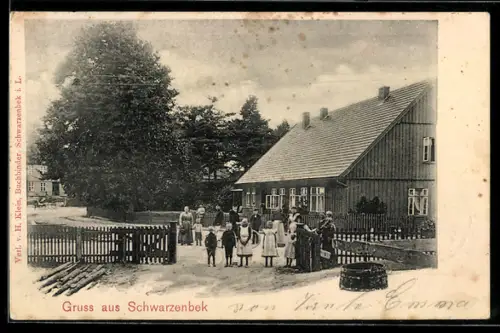 AK Schwarzenbek, Ortspartie mit Villa und Passanten