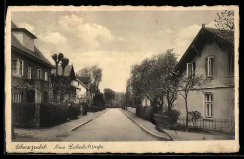 AK Schwarzenbek, Partie in der Neuen Bahnhofstrasse mit Wohnhäusern