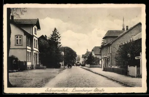 AK Schwarzenbek, Partie in der Lauenburger Strasse mit Wohnhäusern