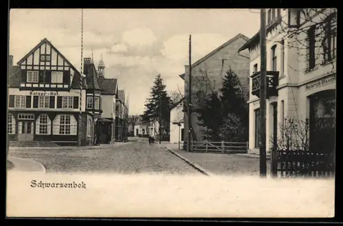 AK Schwarzenbek, Strasse mit Restaurant Kaiser-Hof und Geschäft von Heinrich Olsson