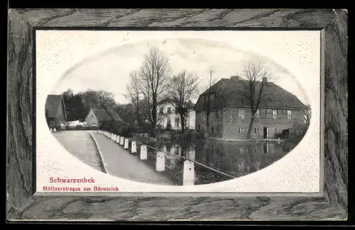 AK Schwarzenbek, Möllnerstrasse am Börnteich mit Wohnhäusern, Bilderrahmenpassepartout