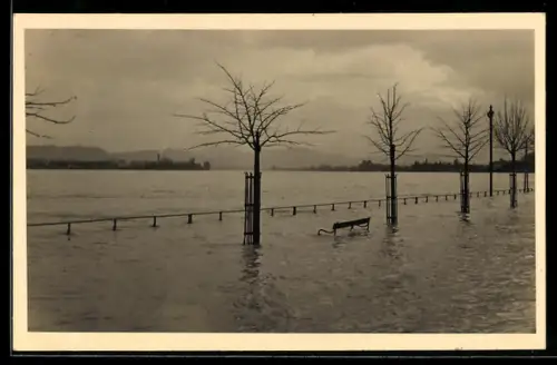 Foto-AK Beuel, Ortspartie bei Hochwasser