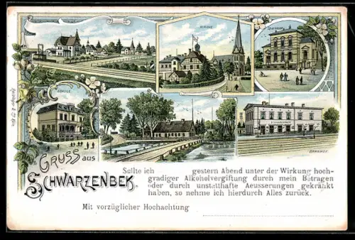 Lithographie Schwarzenbek, Sparkasse, Bahnhof, Schule