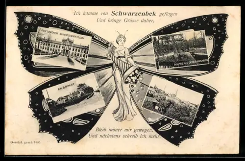 Schmetterling-AK Schwarzenbek, Genesungsheim Schwarzenbek-Kollow, Anlage des Genesungsheims, Bahnhof