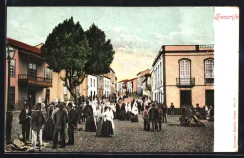 AK Tenerife, Panorama