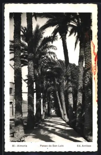 AK Almeria, Paseo de San Luis