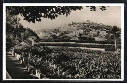 AK Las Palmas, Vista General