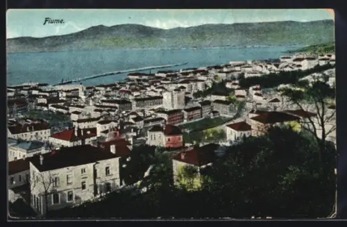 AK Fiume, Panorama