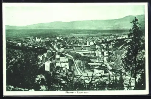 AK Fiume, Panorama