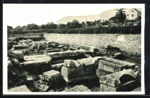 AK Solin, Hortus Metrodori