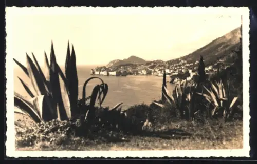 AK Dubrovnik, Panorama