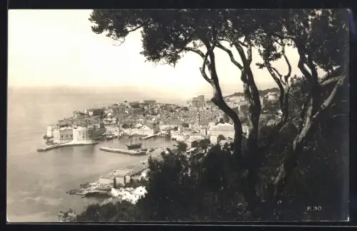 AK Dubrovnik, Panorama