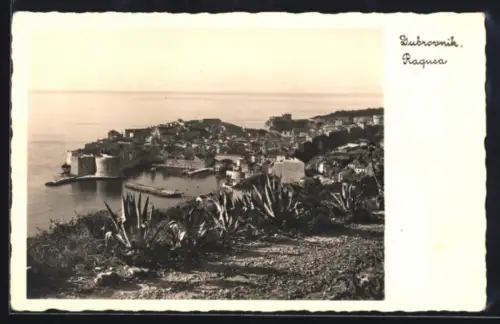 AK Dubrovnik, Panorama