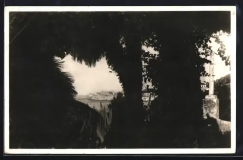 AK Dubrovnik, Panorama