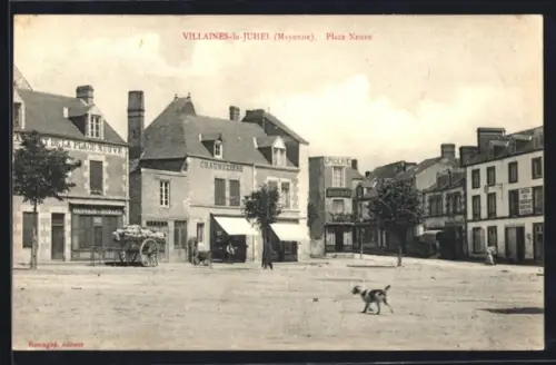AK Villaines-la-Juhel /Mayenne, Place Neuve avec commerces et chien traversant la place
