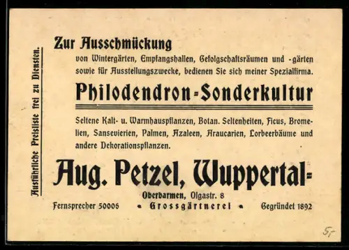 Vertreterkarte Wuppertal-Oberbarmen, Aug. Petzel, Grossgärtnerei, Olgastr. 8, Blätter im Gewächshaus