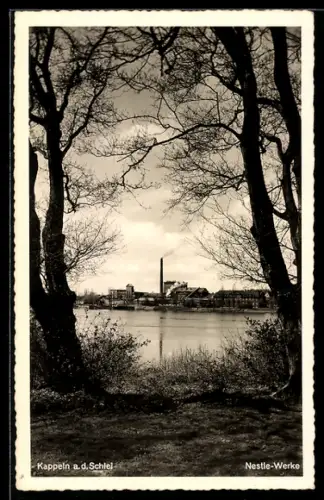 AK Kappeln a. d. Schlei, Blick auf die Nestle-Werke