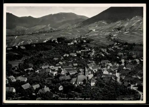 AK Eisental, Ortsansicht vom Flugzeug aus