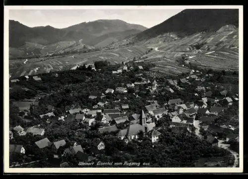 AK Eisental, Ortsansicht vom Flugzeug aus mit umliegenden Weinbergen
