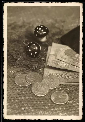 AK Geldschein- und Münzen mit Fliegenpilzen