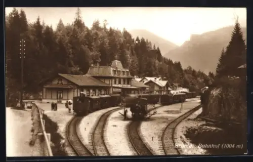AK Brünig, Bahnhof im Winter aus der Vogelschau