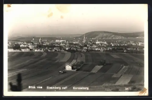 AK Korneuburg, Ortsansicht vom Bisamberg aus
