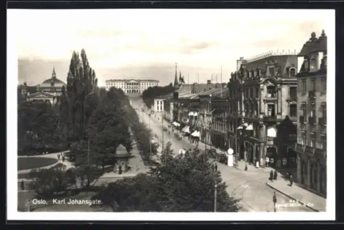 AK Oslo, Karl Johansgate, Panorama