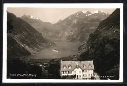 AK Merck, Utsigten