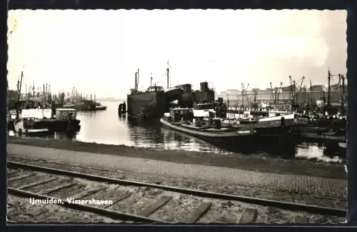 AK Ijmuiden, Vissershaven