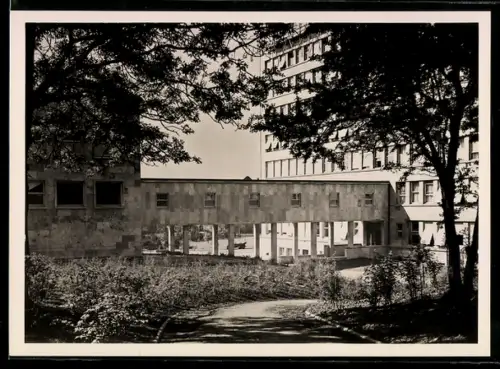 AK Frankfurt-Westend, Gebäude der I. G. Farbenindustrie Aktiengesellschaft