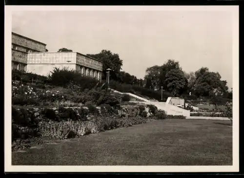 AK Frankfurt-Westend, I. G. Farbenindustrie Aktiengesellschaft, Park mit Treppen und Rasenfläche