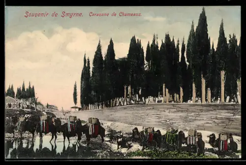 AK Smyrne, Caravane de Chameaux
