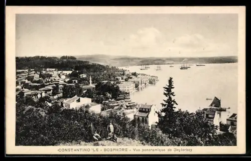 AK Constantinople, Le Bosphore, Vue panoramique de Beylerbey