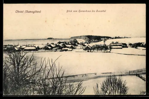 AK Oknist /Samogitien, Blick vom Herrenhaus ins Susseital im Winter