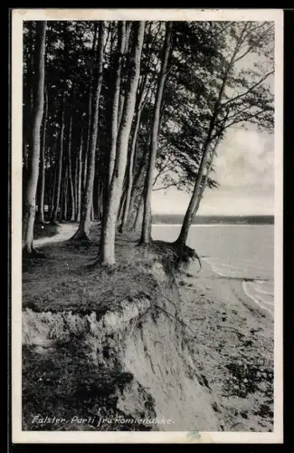 AK Falster, Parti fra Pomlenakke