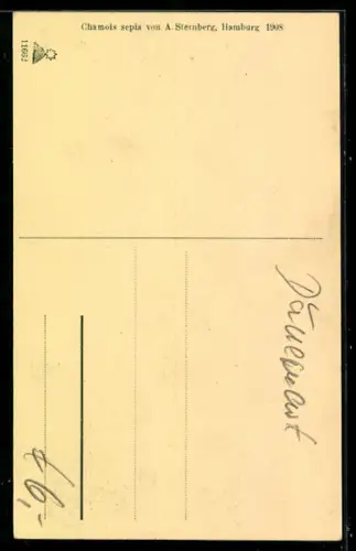 AK Hadersleben, Rathaus mit Strassenpartie