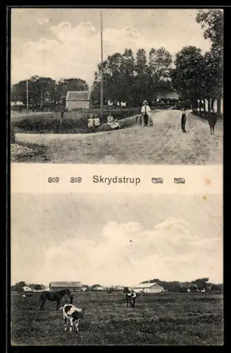 AK Skrydstrup, Ortspanorama mit Kalb u. Pferden, Strassenpartie mit Familie, Fahrrad