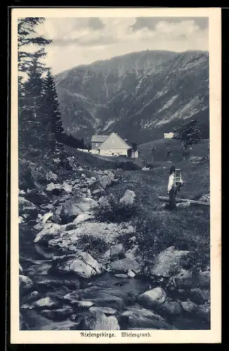 AK Wiesengrund /Riesengebirge, Gebäude und Bach, Kraxenträger