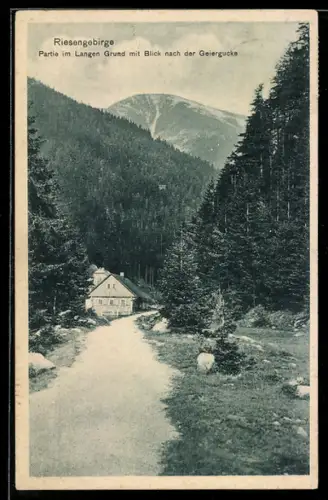 AK Langer Grund /Riesengebirge, Ortspartie mit Blick nach der Geierglucke, Holzhaus, Strasse