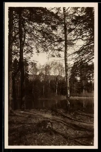 AK Greiffenberg i. Schl., Sanatorium Birkenhof