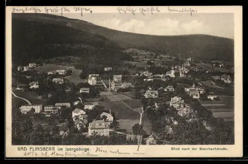 AK Bad Flinsberg /Isergeb., Ortsansicht, Blick nach der Steinbachstrasse
