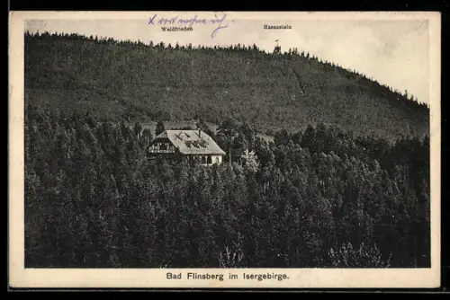 AK Bad Flinsberg /Isergeb., Waldfrieden und Hasenstein, Gebäude und Turm
