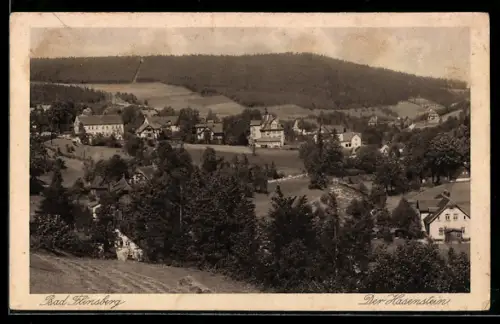 AK Bad Flinsberg /Isergeb., Der Hasenstein, Ortsansicht