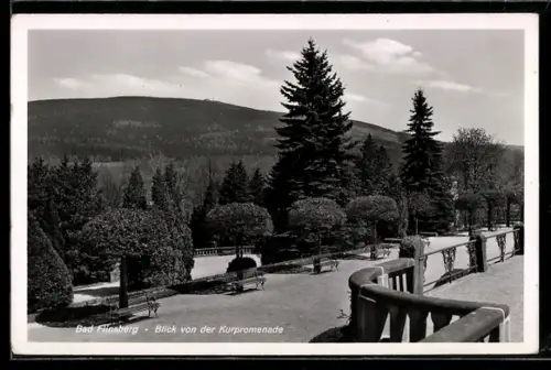 AK Bad Flinsberg /Isergeb., Blick von der Kurpromenade