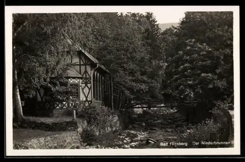 AK Bad Flinsberg /Isergeb., Der Niederbrunnen, Fachwerkhaus, Flusspartie