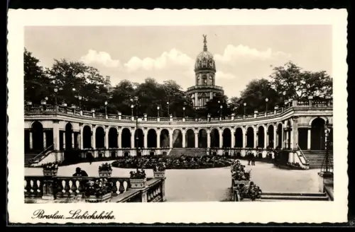 AK Breslau, Liebichshöhe, Panorama