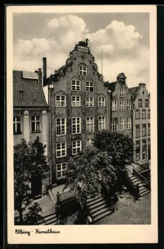 AK Elbing, Kamelhaus aus der Vogelschau