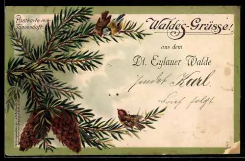 Lithographie Dt. Eylau, Dt. Eylauer Wald, Tannenzweig mit Vögeln, Tannenduft-Postkarte