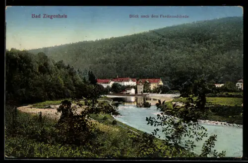 AK Bad Ziegenhals, Blick nach dem Ferdinandsbade