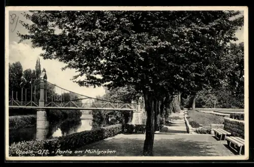 AK Oppeln, Partie am Mühlgraben